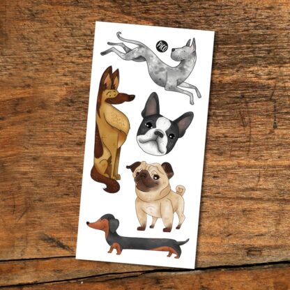 PICO TATOUAGE LES CHIENS